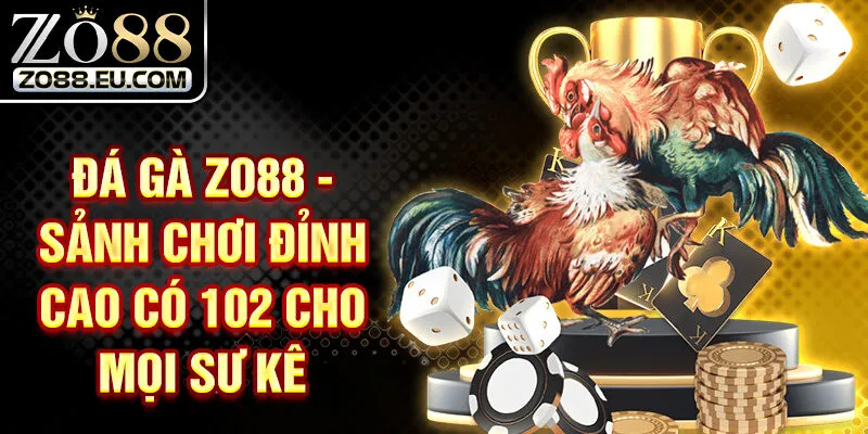 Đá Gà ZO88 - Sảnh Chơi Đỉnh Cao Có 102 Cho Mọi Sư Kê