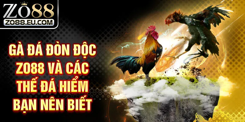 Gà Đá Đòn Độc ZO88 Và Các Thế Đá Hiểm Bạn Nên Biết