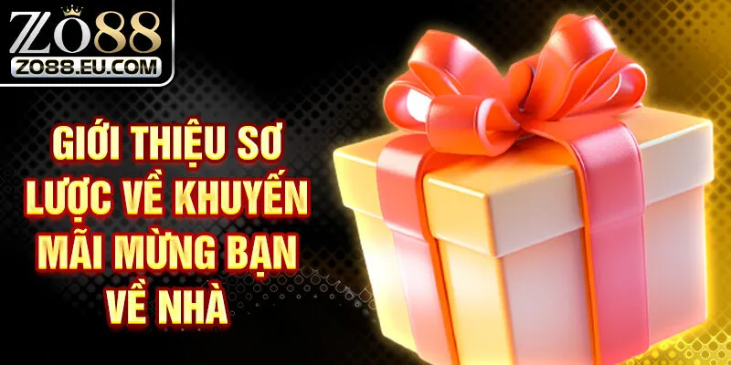 Giới thiệu sơ lược về khuyến mãi mừng bạn về nhà